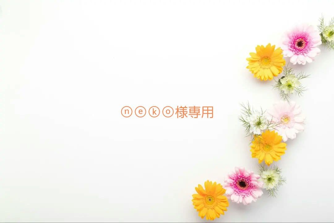 「Switch OVER REQUIEMZ 特装版」＋α Amazon.co.jp: 【Switch】OVER REQUIEMZ 特装版 : Video Games